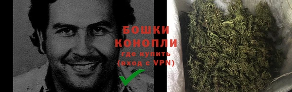 эйфоретик Инта