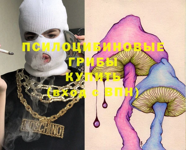 эйфоретик Инта